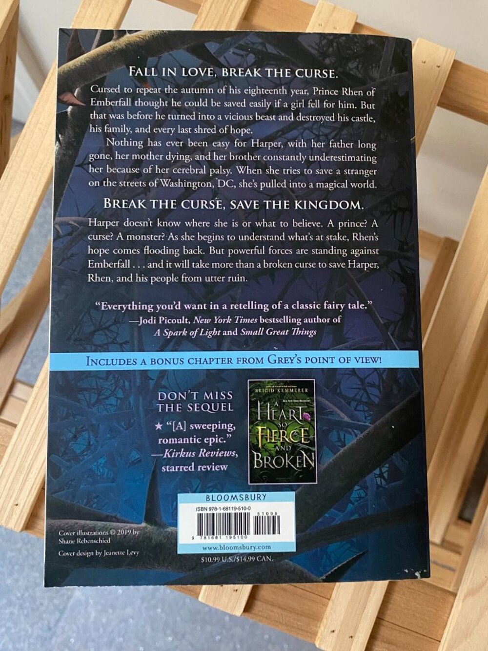 A Curse So Dark and Lonely by Brigid Kemmerer - Picture 2 of 2